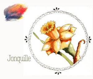 La jonquille