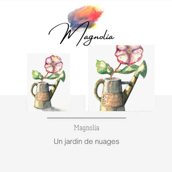 peinture-aquarelle-tutoriel-magnolia2-fleur-botanique-helene-valentin-auteure-illustratrice