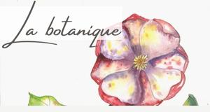 bandeau-sup-Categorie-FR-Ateliers-Helene-Valentin-aquarelle-botanique