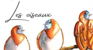 bandeau-sup-Categorie-FR-Ateliers-Helene-Valentin-aquarelle-oiseaux