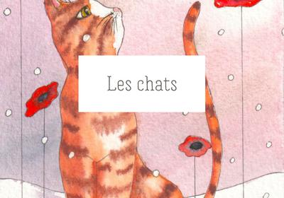 bandeau2-sup-Categorie-FR-Ateliers-Helene-Valentin-aquarelle-chats-felins-tutoriels