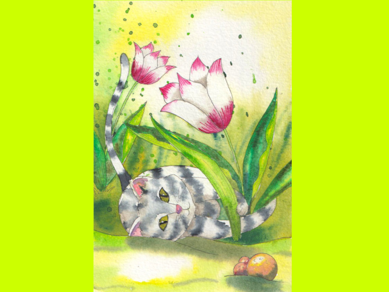 Un chat tigré gris et blanc est couché et joue avec des tulipes dans un jardin.