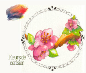 Fleurs de cerisier