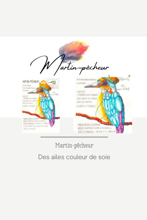 lms2-martin-pecheur-oiseaux-aquarelledebutants-aquarelles-aquarelleillustration-helenevalentin-tutoriels-videos