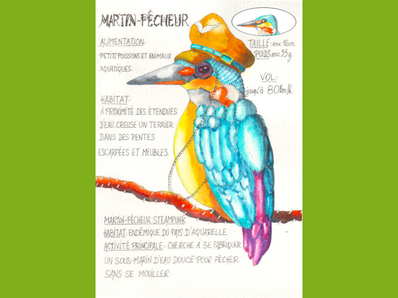 lms4-maquette-martin-pecheur-oiseaux-aquarelledebutants-aquarelles-aquarelleillustration-helenevalentin-tutoriels