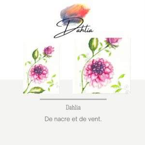 lms2-dahlia-aquarelle-aquarelles-aquarelledebutants-dahlia-fleurs-jardin-botanique-helenevalentin-tutoriel