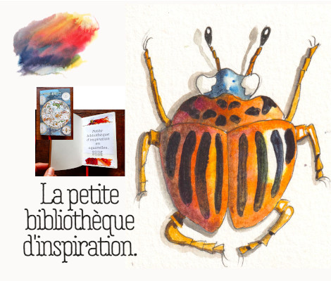 Coccinelle à l'aquarelle.