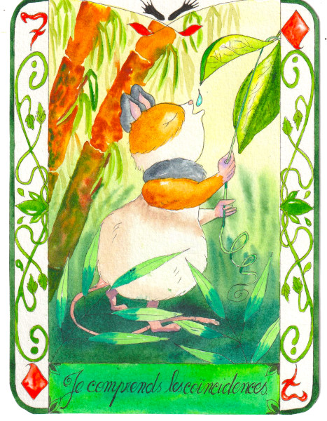 Une souris dans les bambous penche une feuille pour y boire une goutte d'eau de pluie.