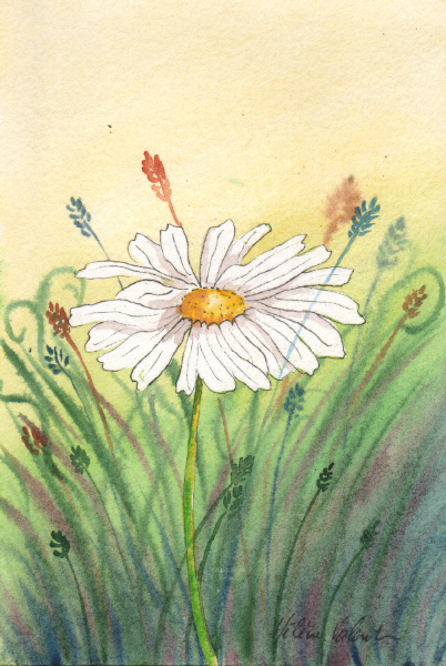 Premierspas Marguerite Aquarelle