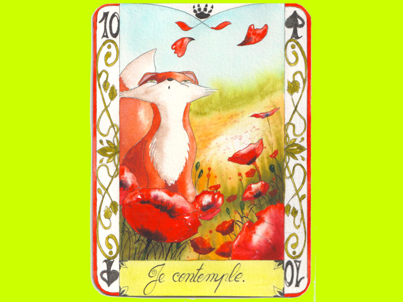 Un renard s'étonne de pétales de coquelicots qui s'envolent. Un champs de fleurs rouges.