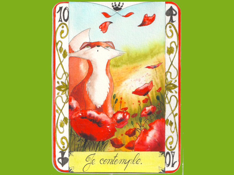 Un renard s'étonne de pétales de coquelicots qui s'envolent. Un champs de fleurs rouges.