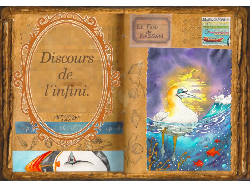 Un macareux sur la page de gauche, un fou de bassan sur la page de droite. L'océan, des vagues, un coucher de soleil. Le tout dans un grimoire.