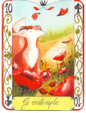 Un renard s'étonne de pétales de coquelicots qui s'envolent. Un champs de fleurs rouges.