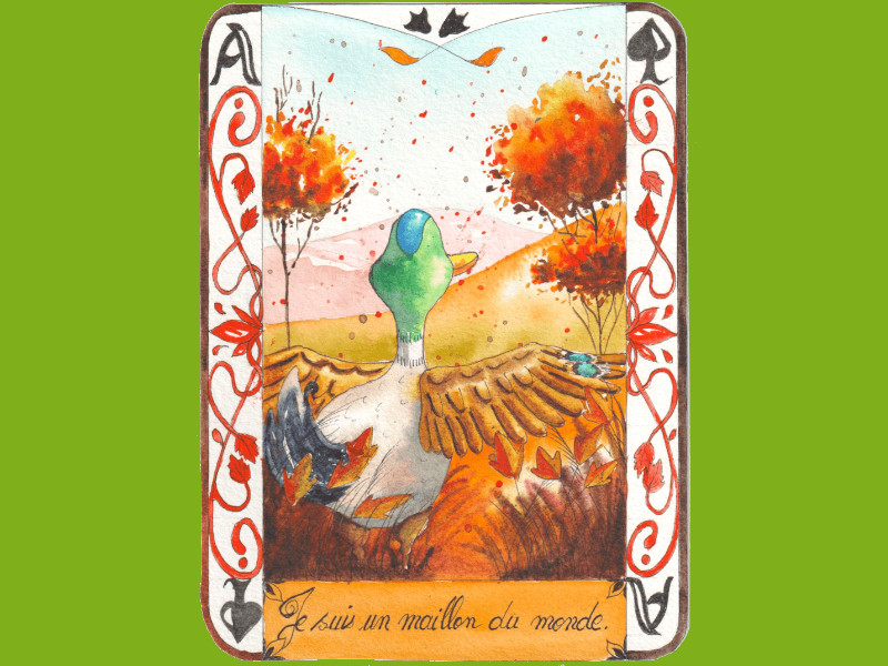 Un canard écarte les ailes sur un paysage d'automne.