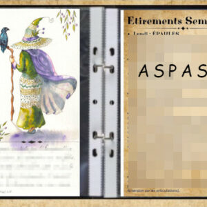 Une sorcière vue de dos, habillée d'une robe verte et d'une cape mauve. Un corbeau est perché sur son bâton. Elle est dans un classeur.