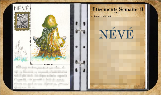 Un chaperon vert assis en tailleur sur une souche d'arbre. Il est vu de dos.