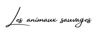 Animaux sauvages