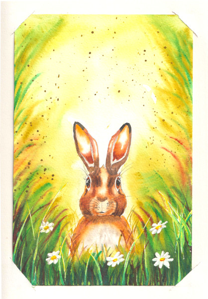 Un lapin vous regarde au milieu de la verdure et des pâquerettes. Beaucoup de lumière.