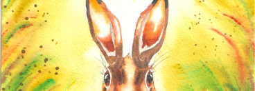 Yeux oreilles lapin aquarelle tutoriel animaux sauvages helenevalentin apprendre couleurs