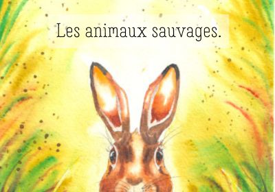 Bandeau 2 animaux sauvages categorie calendrier perpetuel ateliers