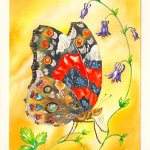 Un papillon vulcain est posé sur des fleurs d'ancolies. Le ciel est jaune.