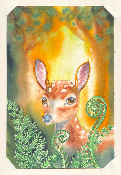 Un faon sort la tête des fougères. Une trouée de lumière perce la forêt derrière lui. Aquarelle.