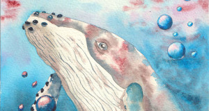 Une baleine nous regarde sous l'eau.