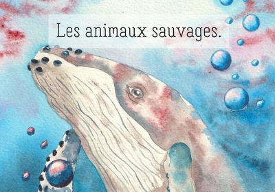 Une baleine nous regarde sous l'eau.