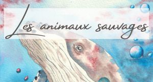 Une baleine nous regarde sous l'eau.