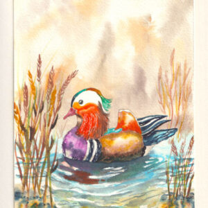 Couleur petit canard
