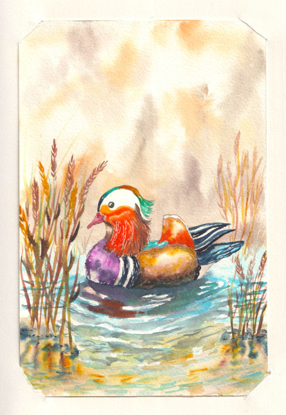 Couleur petit canard